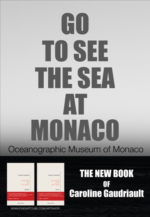 Go to see the sea at Monaco — Art Paris